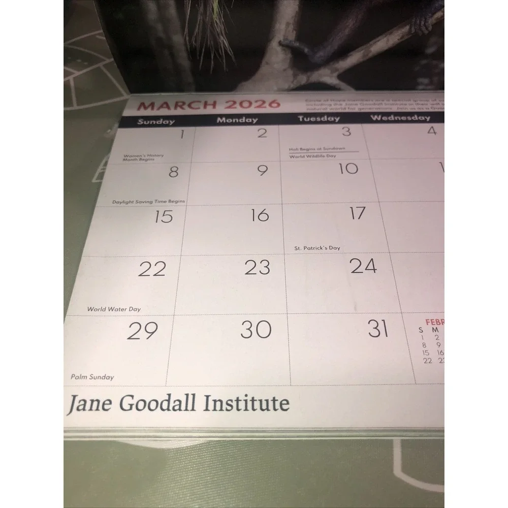 Jane Goodall Institute Apes & Chimps - 2026 SMALL Wall Calendar 17 Months NEW